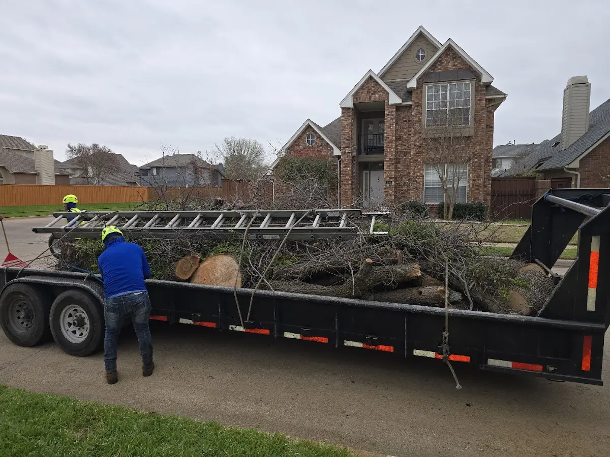 Expert Lot Clearing with proper safety equipment in Hartshorn